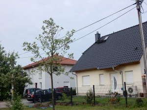4 Einfamilienhäuser in Hönow